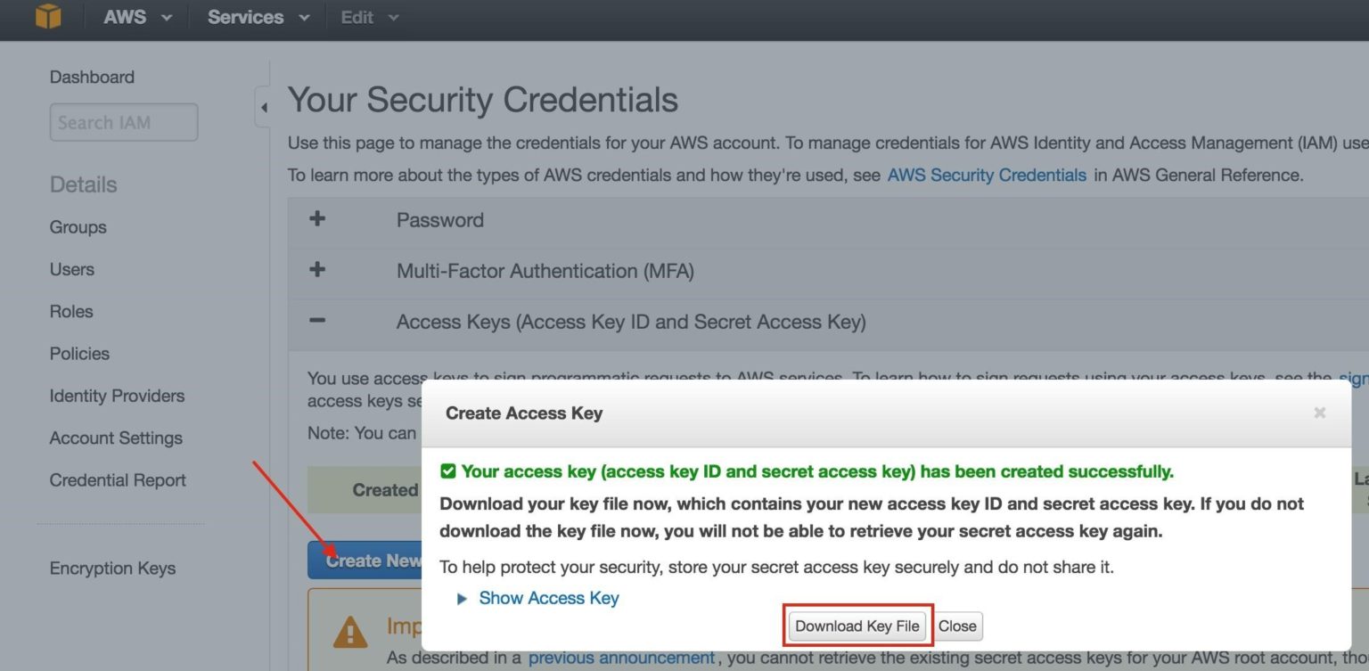 Credentials page. Оригинал access_Key. Секретный доступ. Тег Accesskey. Access Key for beamguru.